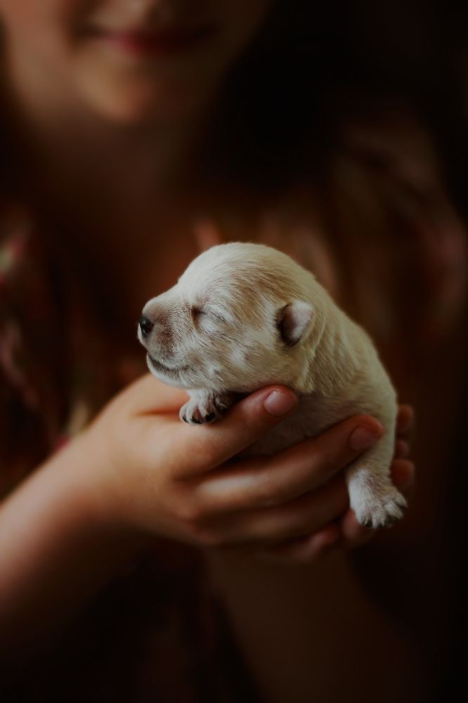 Photograph by Elena Makarova