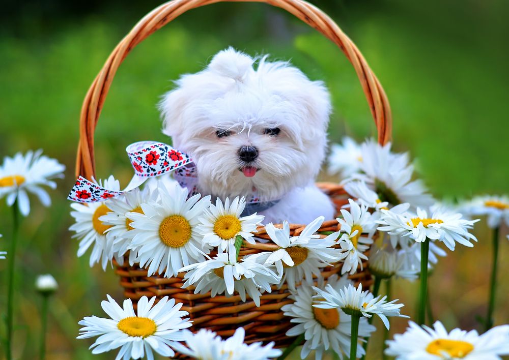 Photograph by Виктория Гарькавенко