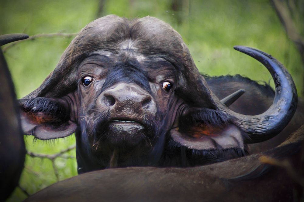 Photograph by Irina Grigoryeva