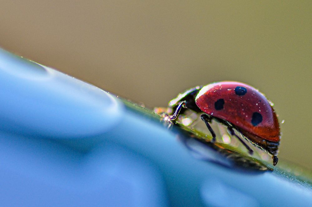 Photograph by Дмитрий Балатский