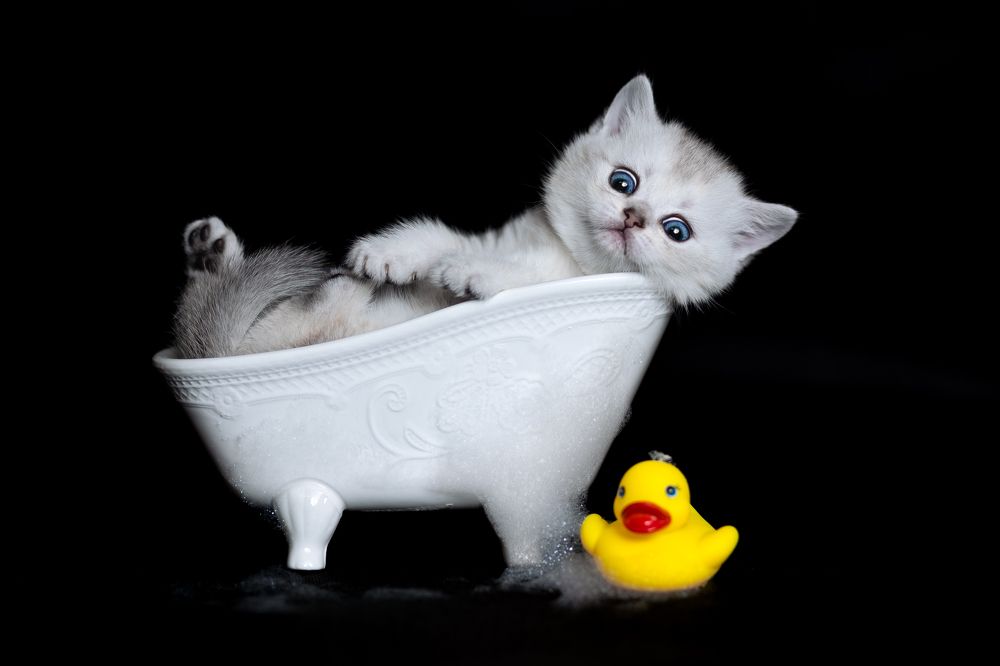 Photograph by Veronika Blažeková