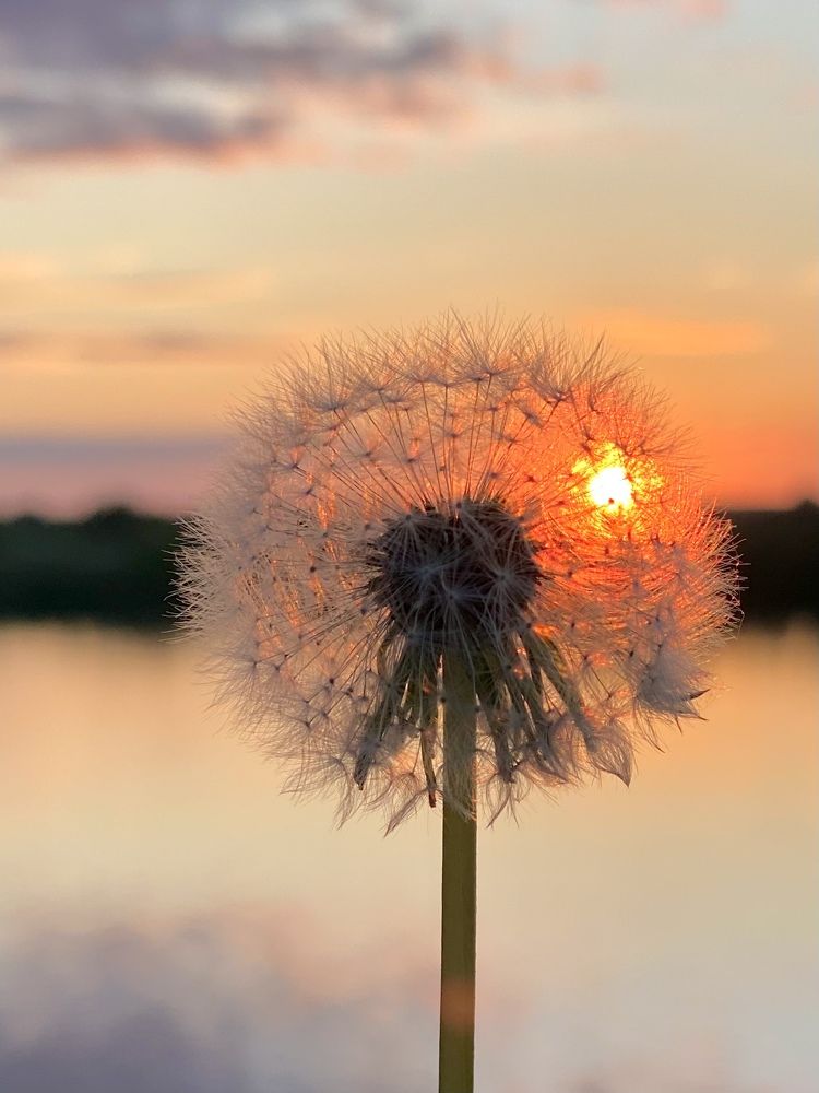 Фотография автора Ольга Горюнова