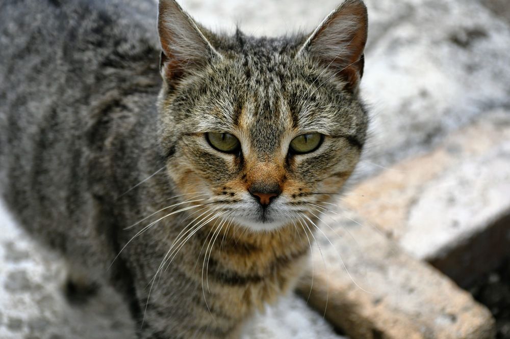 Photograph by Наталья Семенова