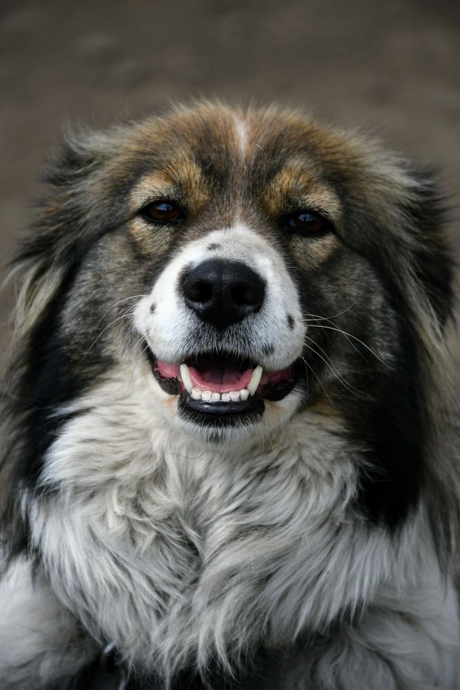 Photograph by Наталья Семенова