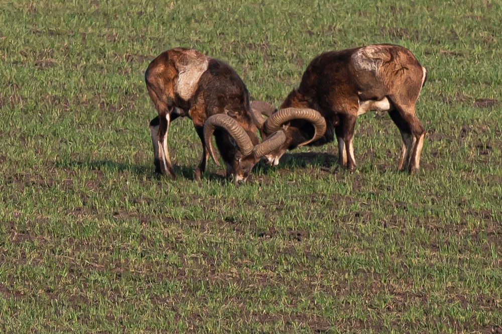 Photograph by Александр Щербаков