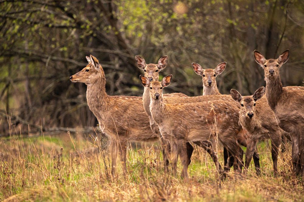Photograph by Александр Щербаков