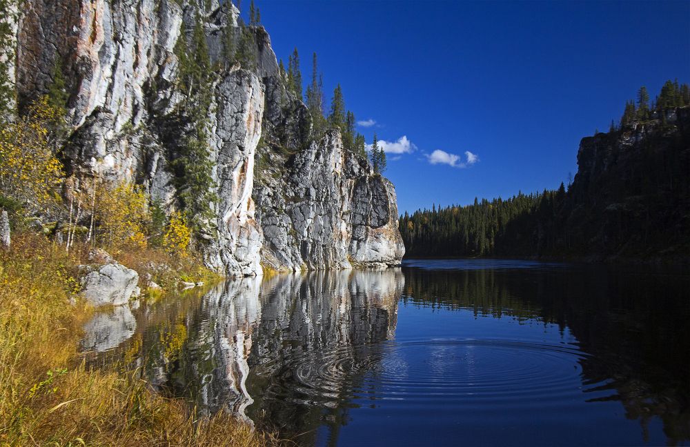 Photograph by Елена