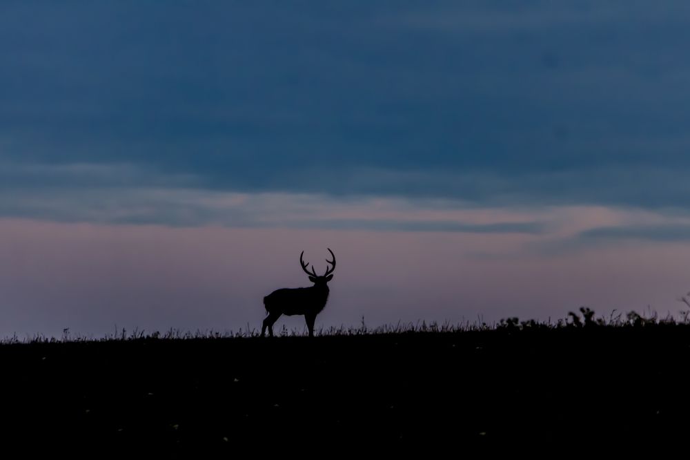 Photograph by Александр Щербаков