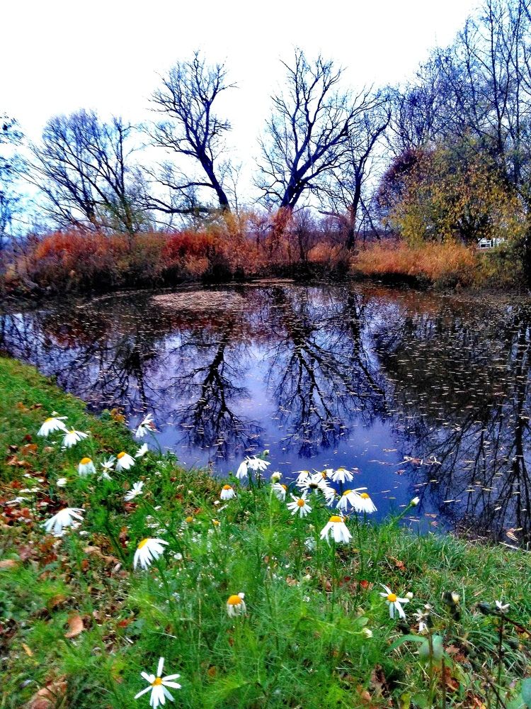 Photograph by Андрей Семенченко