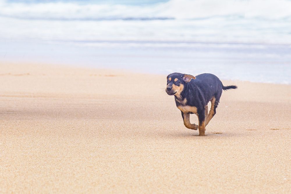 Фотография автора Sasindu Pramuditha