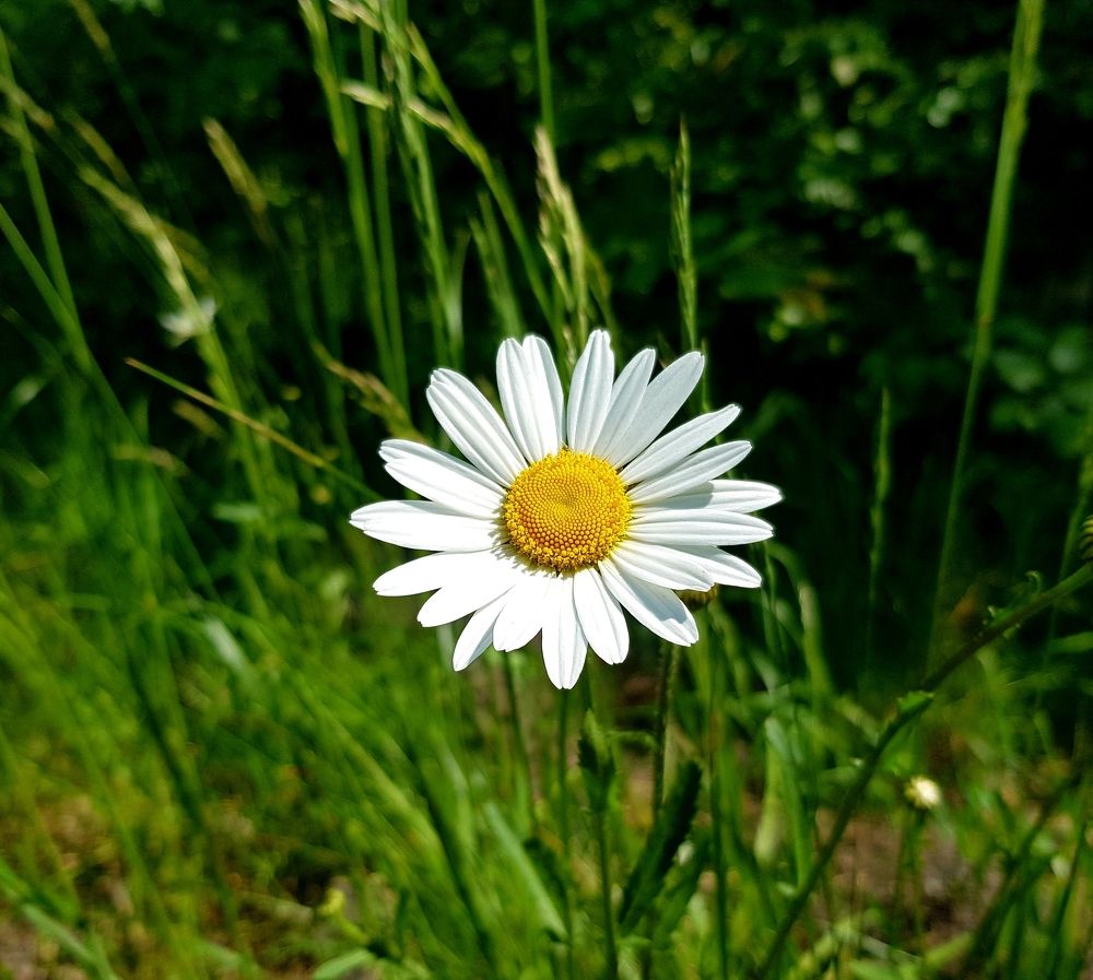 Photograph by Ліана Устимчук