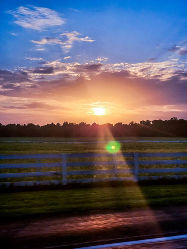 Photograph by Brian Scowcroft