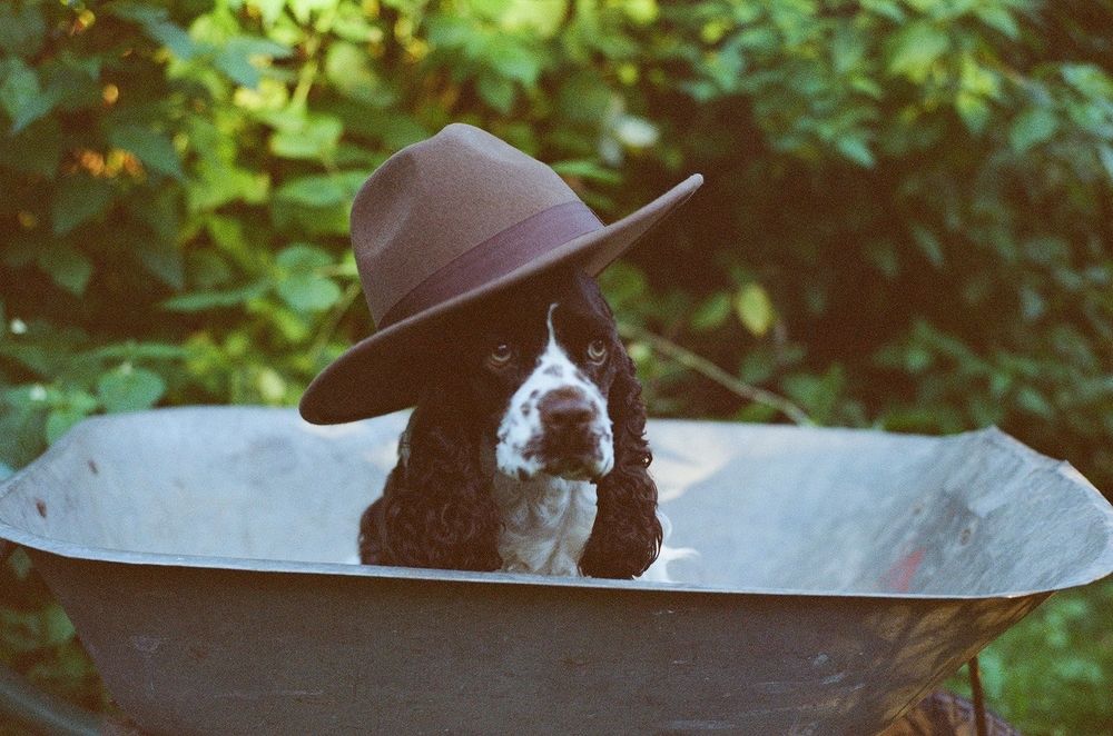 Photograph by Sveta Rubcova