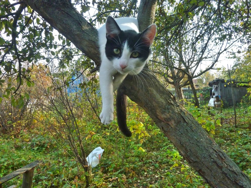 Фотография автора Клавдия Васильева