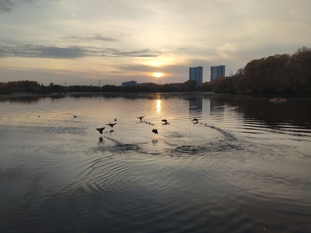 Photograph by Светлана Полякова