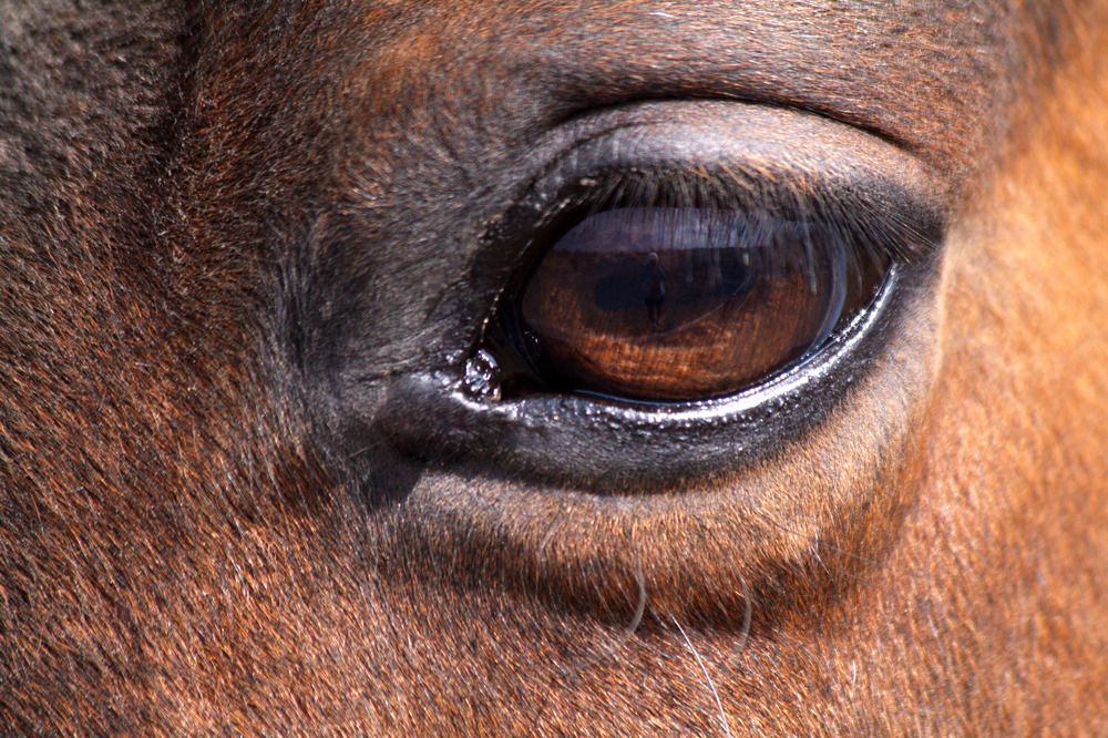 Photograph by Анастасия Солодкая