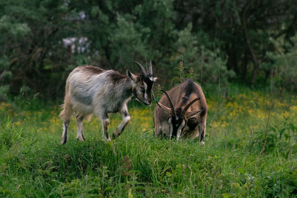 Photograph by Ольга Сергеенко