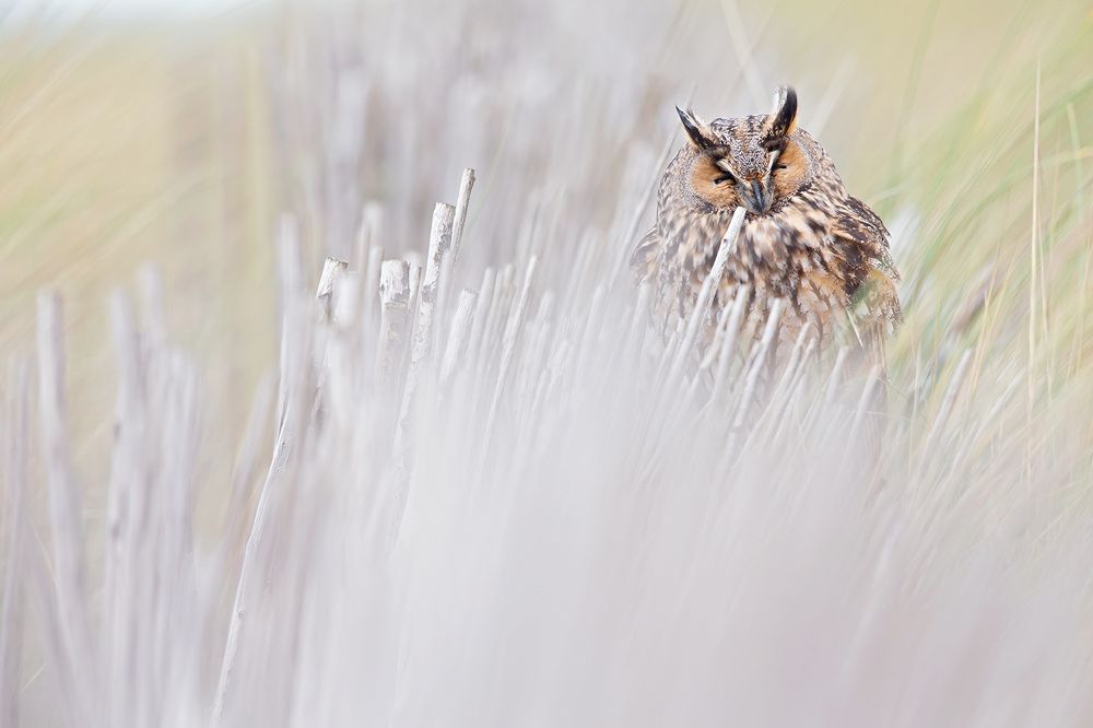 Photograph by Bouke Atema