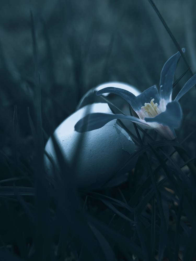 Photograph by Наташа Черепенина