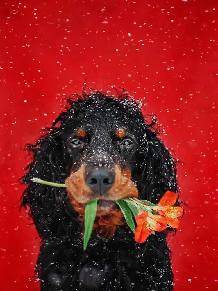 Photograph by Ольга Мурзина