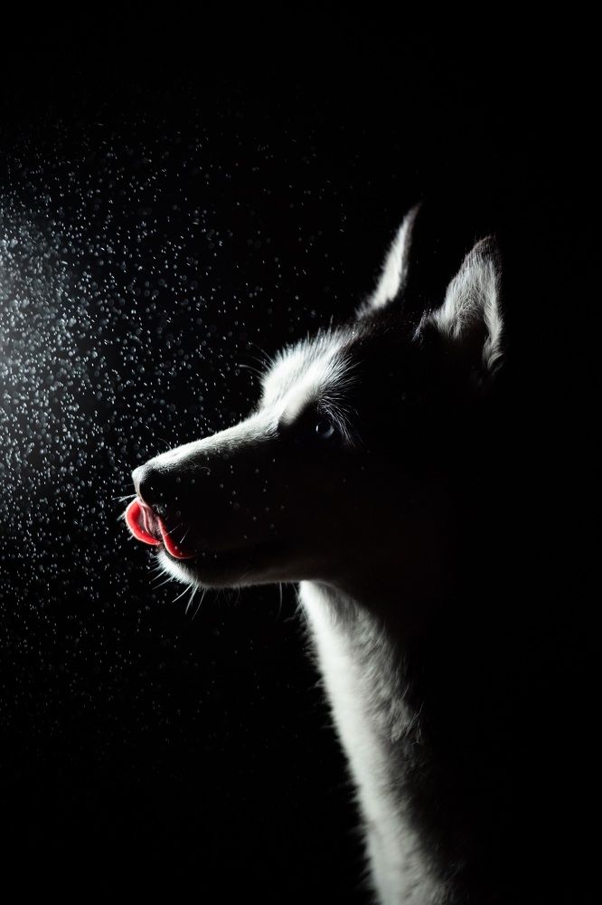 Photograph by Юлия Гасс