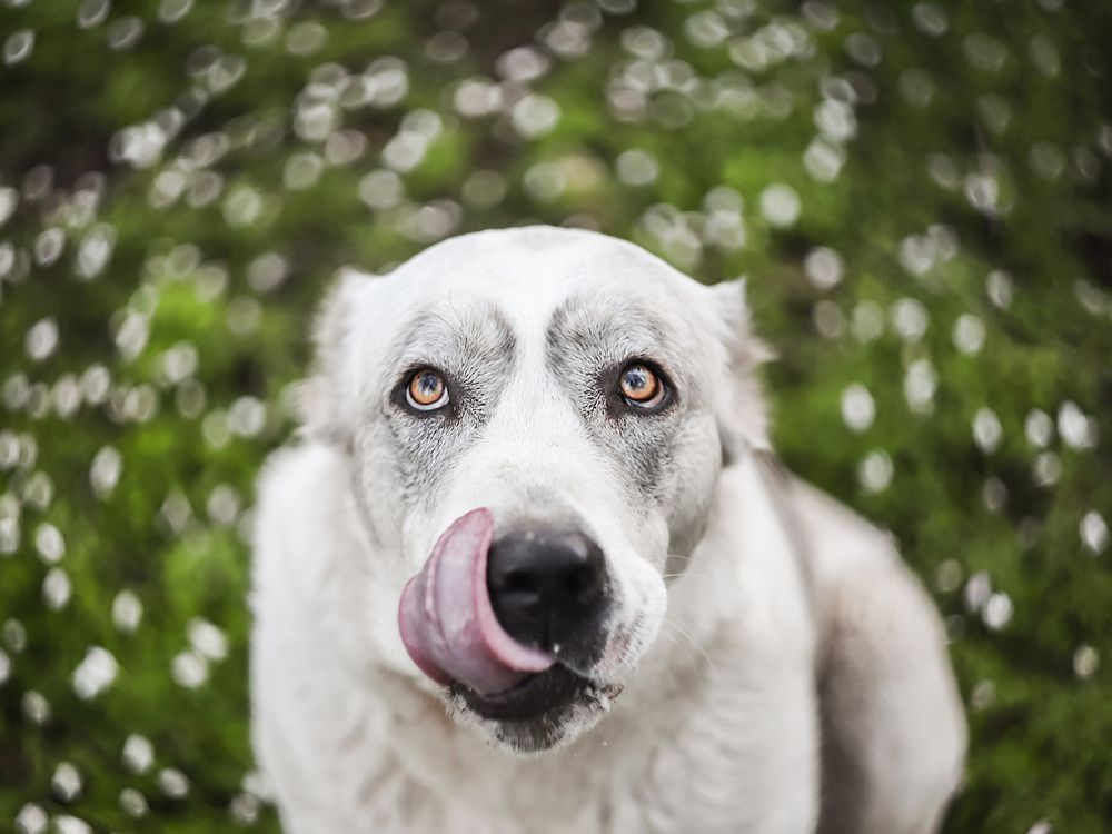 Photograph by Ольга Мурзина