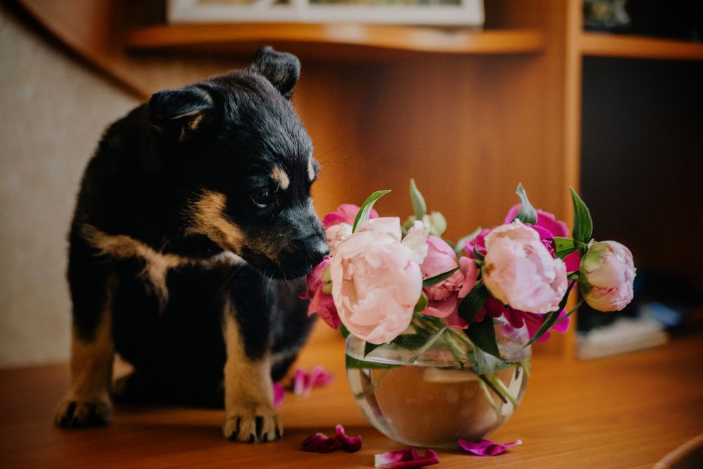 Photograph by Катя Бушная