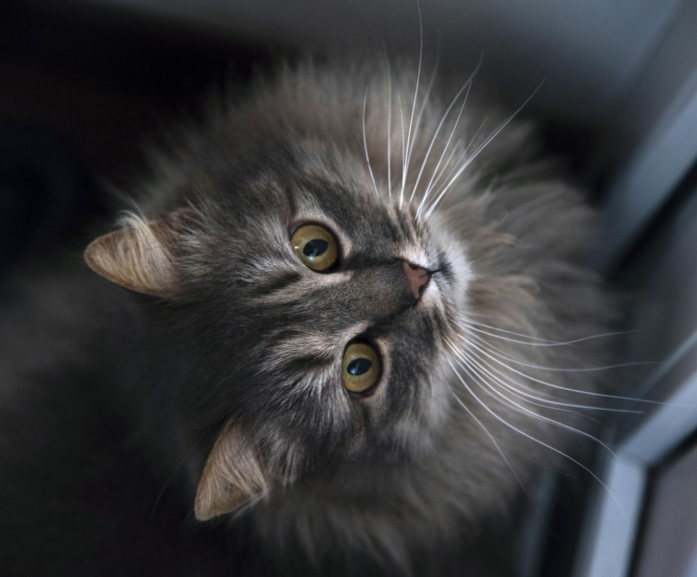 Photograph by Людмила Сиденко