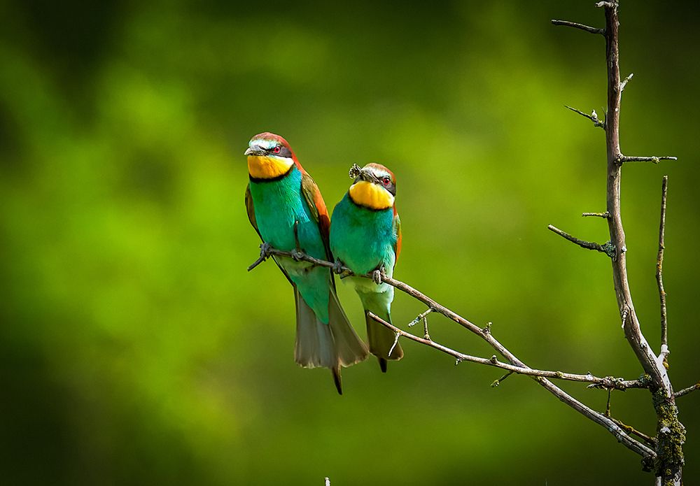 Photograph by Игорь Кляхин