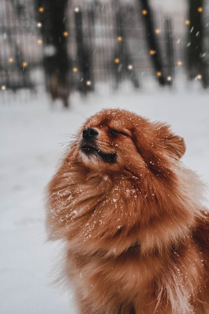 Photograph by Алиса Фредерикс