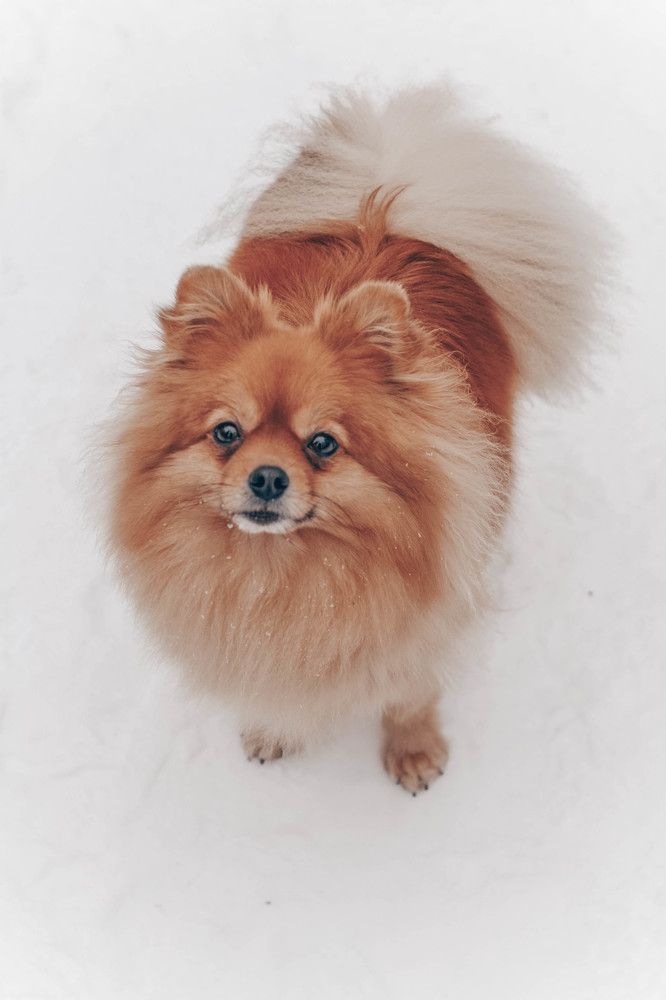 Photograph by Алиса Фредерикс