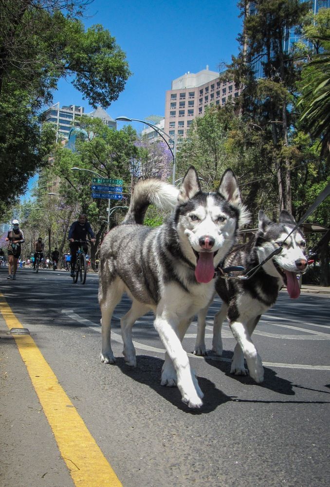 Photograph by Juan Carlos Molina Montes de Oca