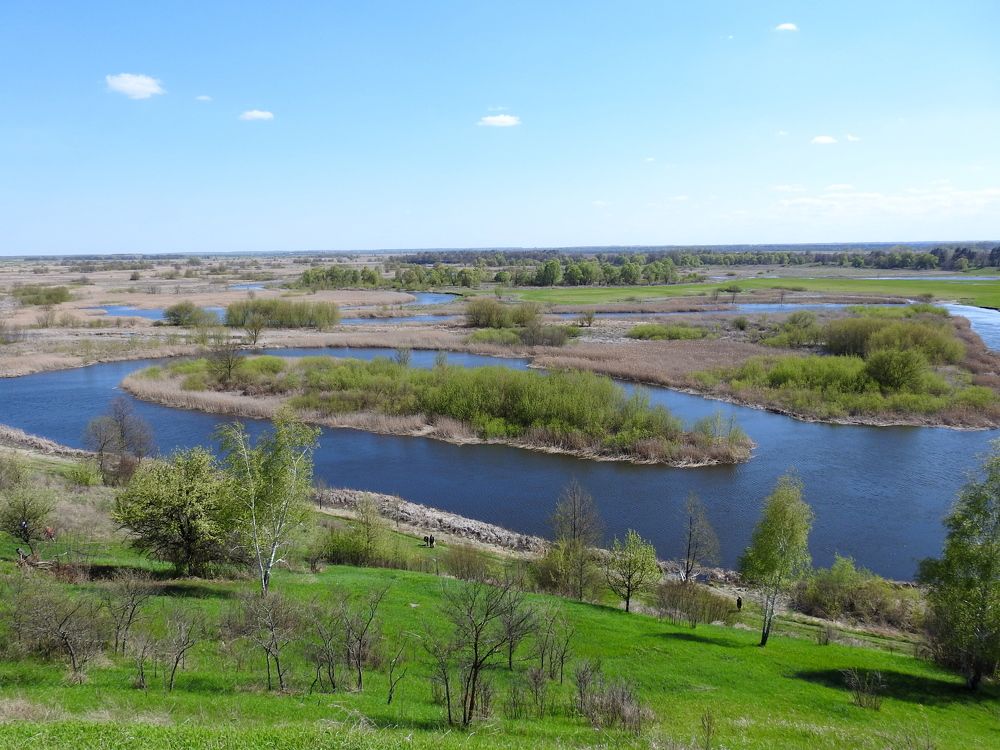 Photograph by Татьяна Калугина