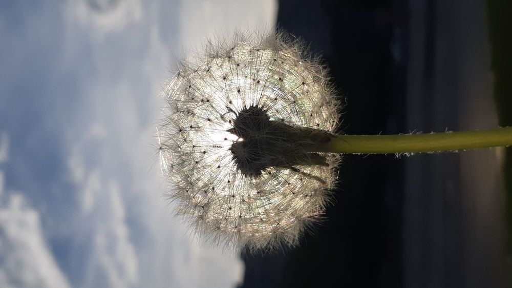 Лето в городе