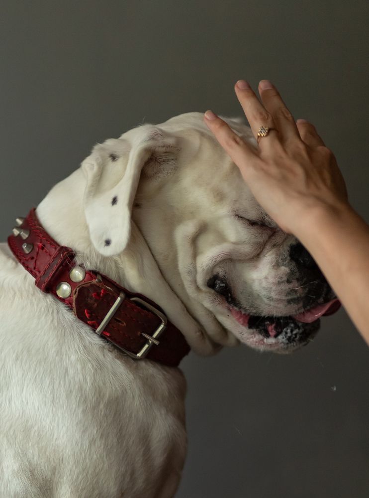 Photograph by Валентина Волкова