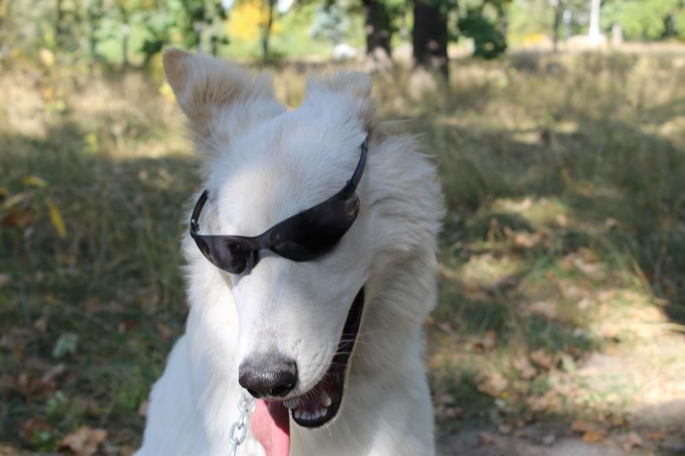 Photograph by Валерия Гончарова-Горобченко