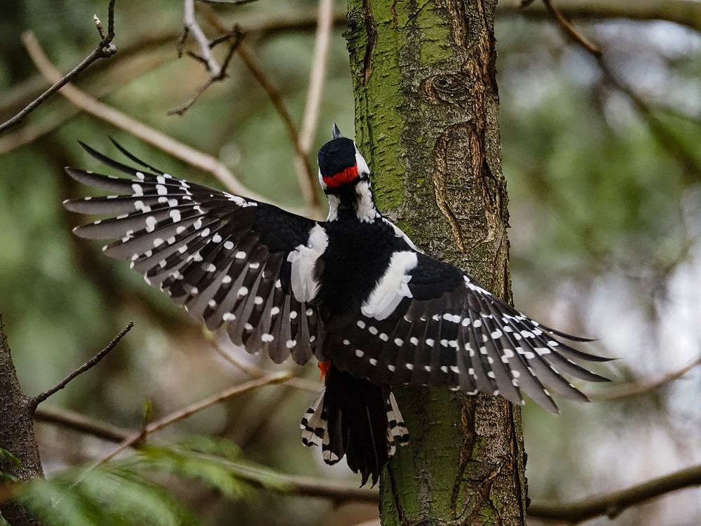 размахнись плечо...