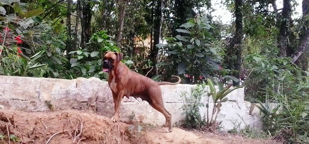 Photograph by Julio Cesar Almeida