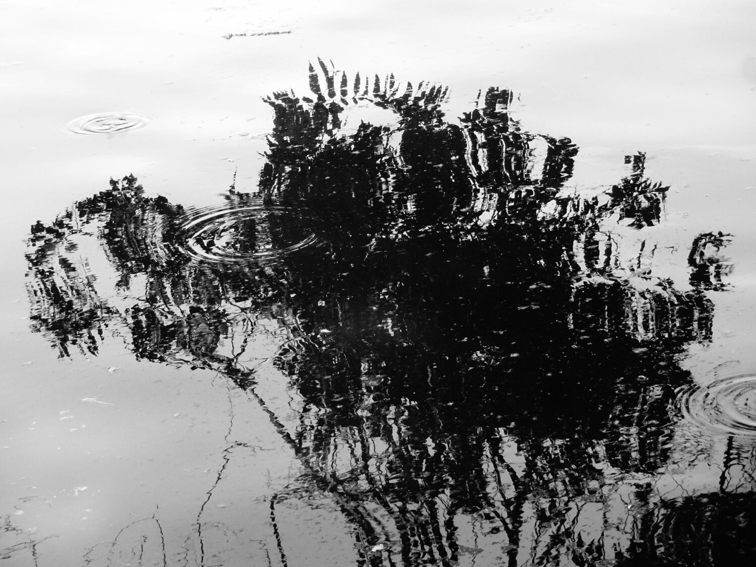 Photo #6176342