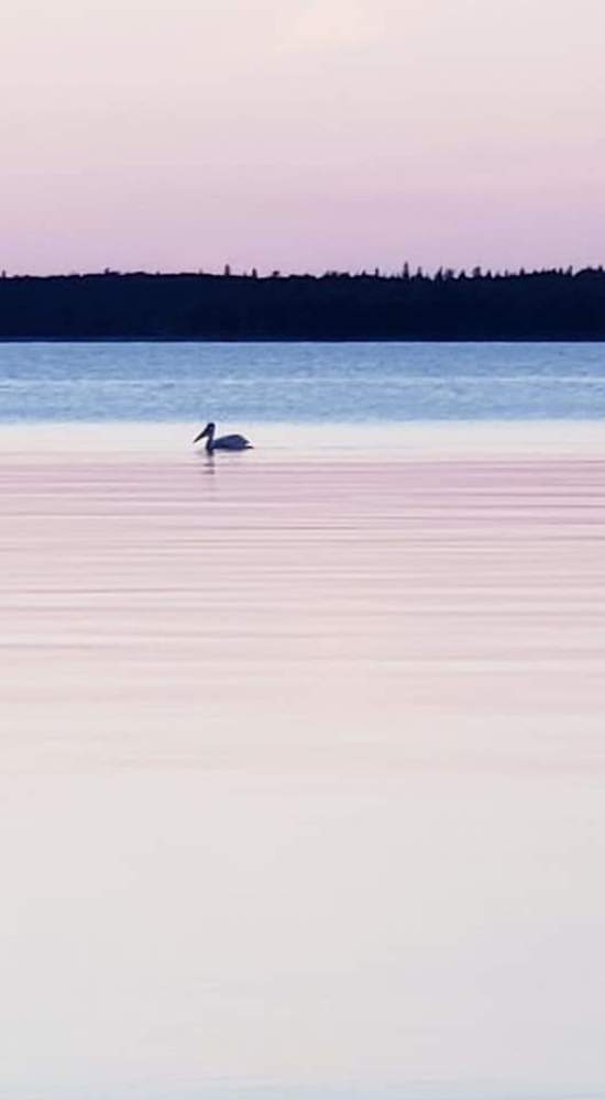 Фотография автора Al