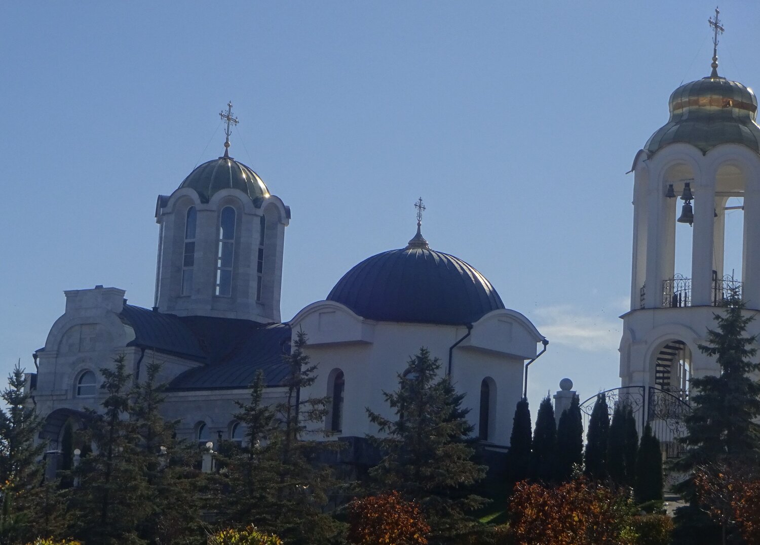 Photo #6176372