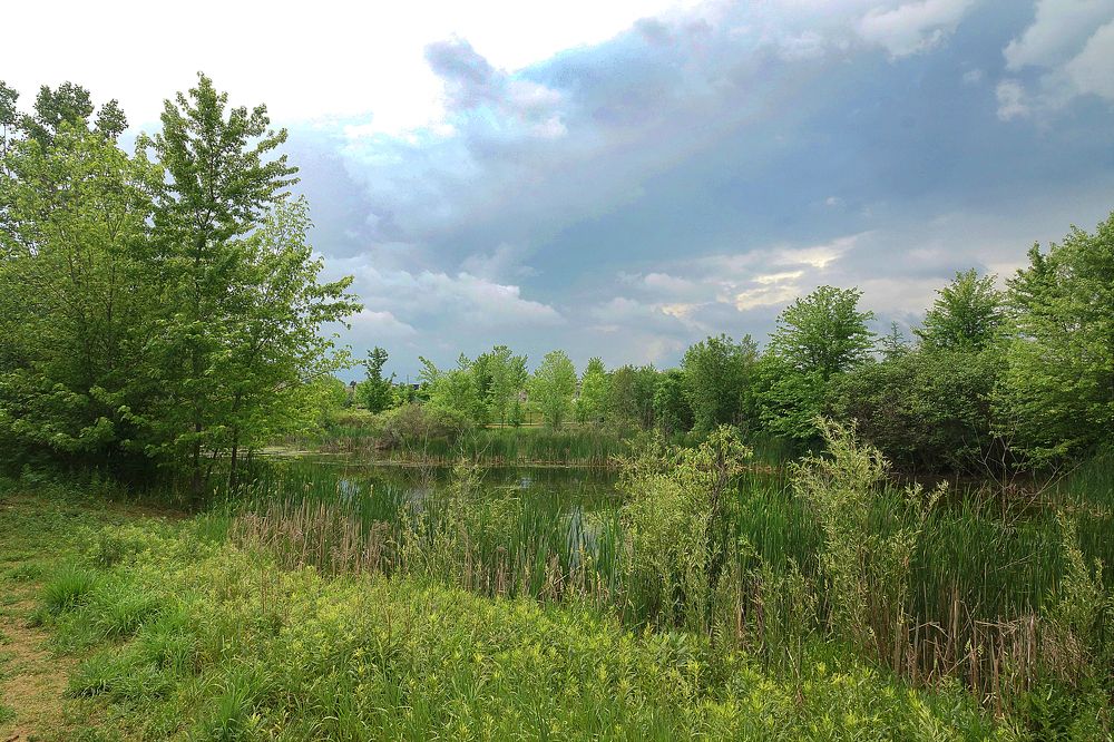 В ожидании грозы.