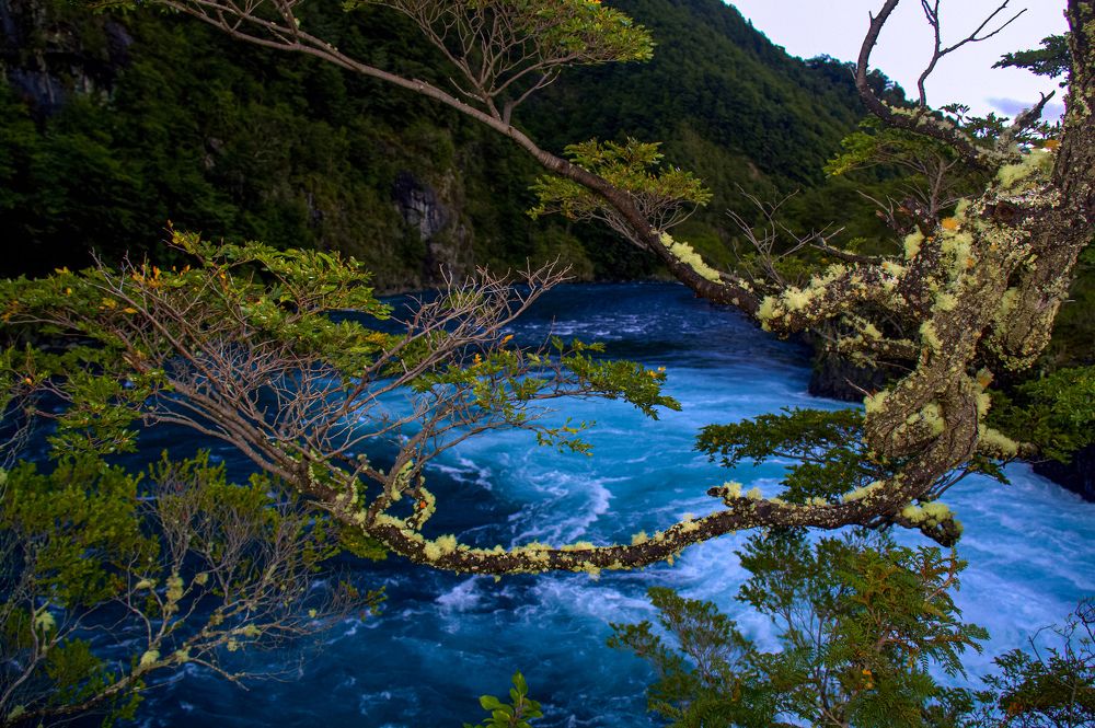 Photograph by Olinda Garcia Favre