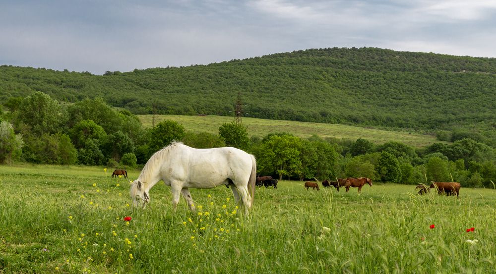Photograph by Василий Малыш