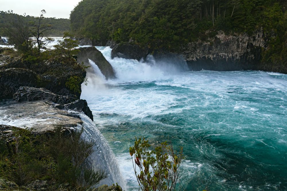 Photograph by Olinda Garcia Favre