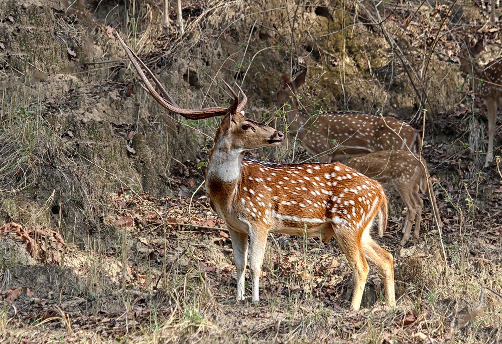 Photograph by Drora Baharal