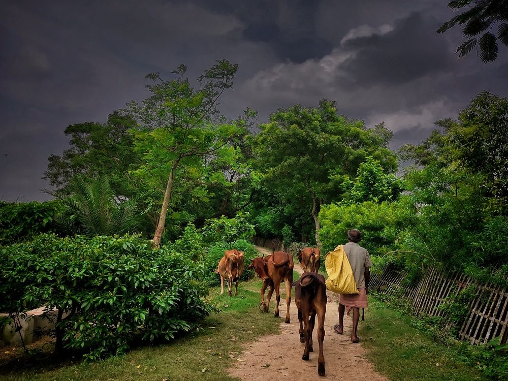 Photograph by Shibanjan Saha