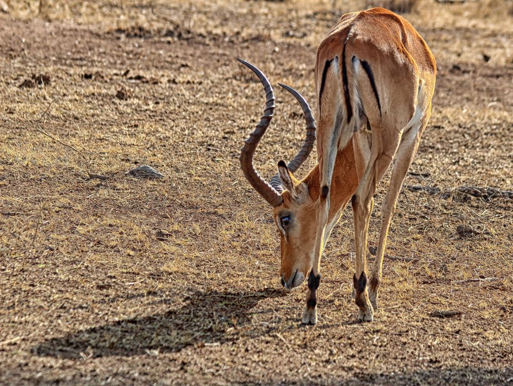 Photograph by Drora Baharal