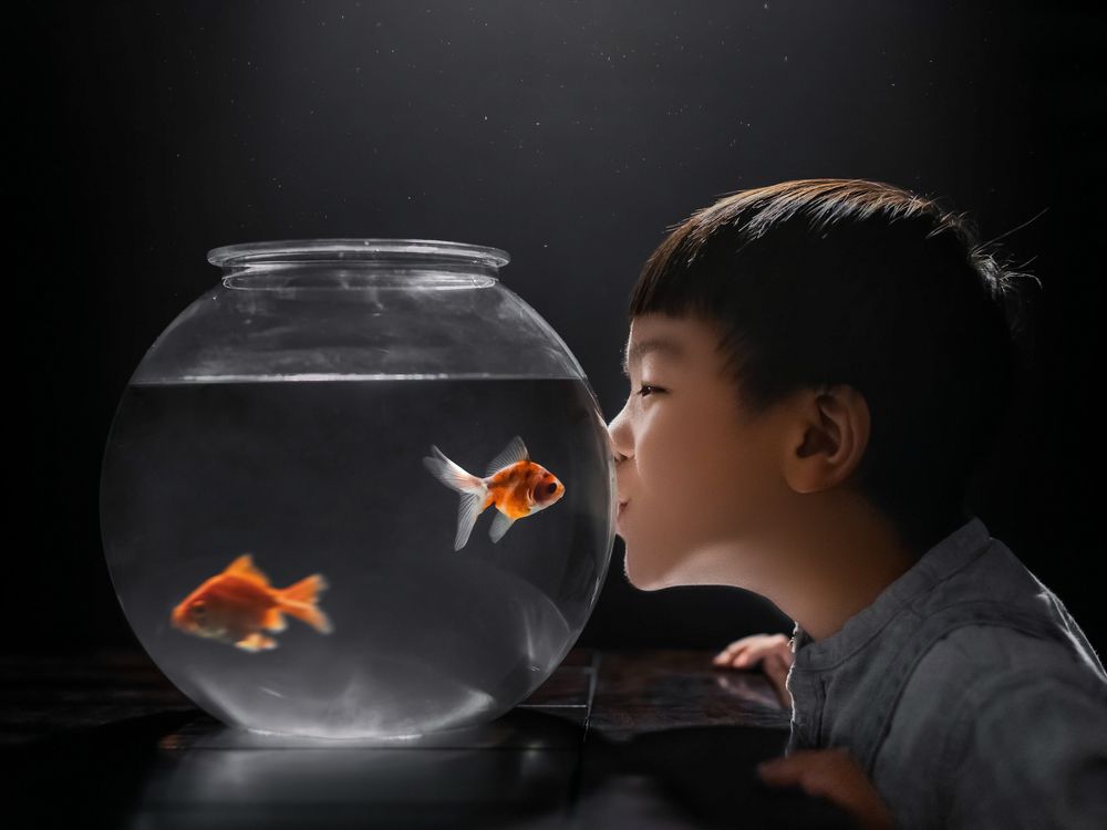 Photograph by Lu Huang