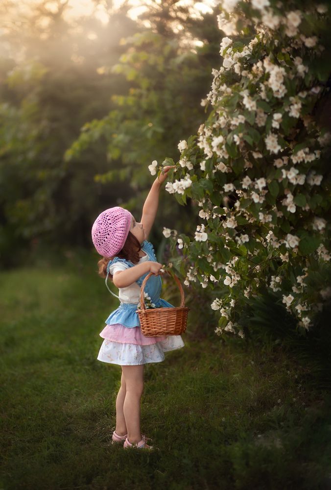 Фотография автора Светлана Кузьмина